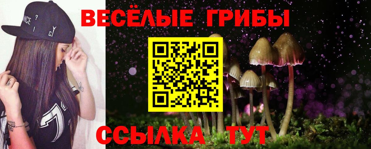 наркошоп  Галлюциногенные грибы GOLDEN TEACHER  Казань  Вход с VPN  Галлюциногенные грибы мухоморы 